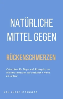 André Sternberg Natürliche Mittel gegen Rückenschmerzen обложка книги