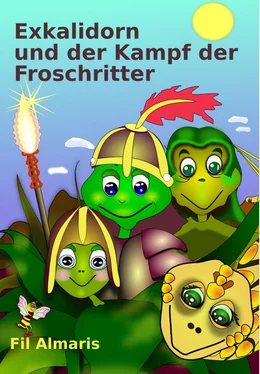 Fil Almaris Exkalidorn und der Kampf der Froschritter обложка книги