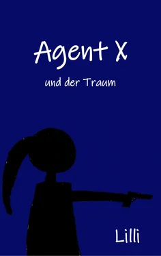 Lilli Ina Agent X обложка книги
