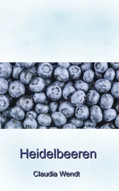 Claudia Wendt Heidelbeeren обложка книги