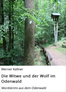 Werner Kellner Die Witwe und der Wolf im Odenwald обложка книги