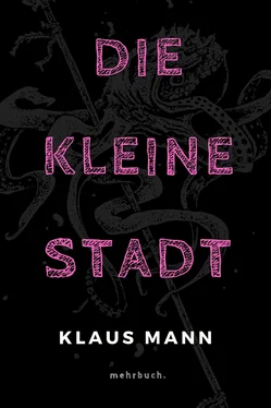 Klaus Mann Die kleine Stadt обложка книги