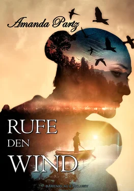 Amanda Partz Rufe den Wind обложка книги