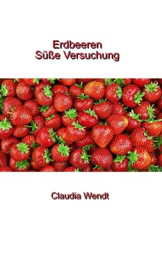 Claudia Wendt Erdbeeren обложка книги