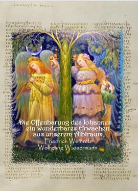 Wolfgang Wassermann Die Offenbarung des Johannes - ein wunderbares Erwachen aus unserem Albtraum обложка книги