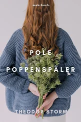 Theodor Storm - Pole Poppenspäler