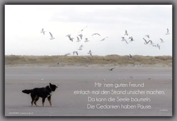 Kurzurlaub Gleich geht es für ein paar Tage an die Nordsee SPO Ich liebe - фото 15