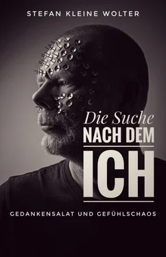 Stefan Kleine Wolter Die Suche nach dem ICH обложка книги