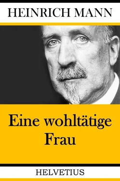 Heinrich Mann Eine wohltätige Frau обложка книги