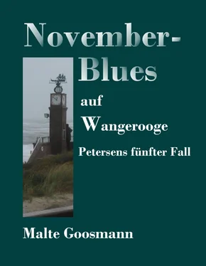 Malte Goosmann November-Blues auf Wangerooge обложка книги