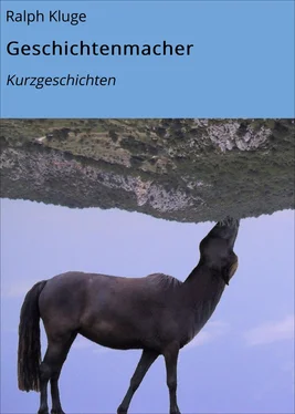 Ralph Kluge Geschichtenmacher обложка книги