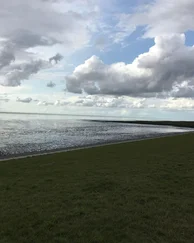 Jo Hilmsen - Strandtrift