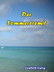 Liesbeth Listig - Der Sommereremit