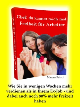 Marcus Fritsch Freiheit für Arbeiter- Chef, Du kannst mich mal! обложка книги