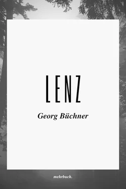 Georg Büchner Lenz обложка книги