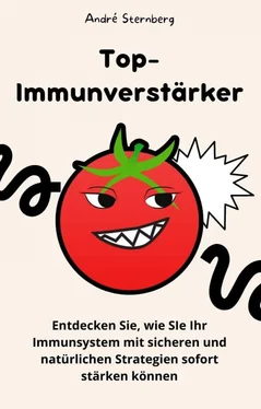 André Sternberg Top-Immunverstärker обложка книги