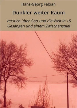 Hans-Georg Fabian Dunkler weiter Raum обложка книги