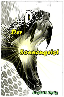 Liesbeth Listig Der Sonnengeist обложка книги