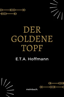 E.T A. Hoffmann Der goldene Topf обложка книги