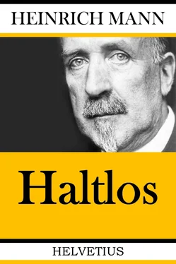 Heinrich Mann Haltlos обложка книги