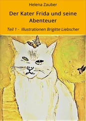 Helena Zauber - Der Kater Frida und seine Abenteuer