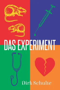 Dirk Schulte Das Experiment обложка книги