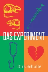 Dirk Schulte - Das Experiment