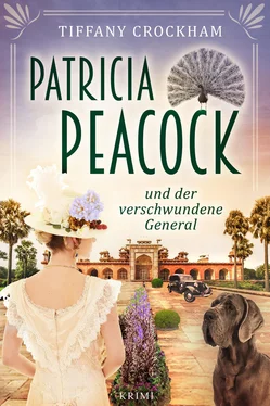 Tiffany Crockham Patricia Peacock und der verschwundene General обложка книги