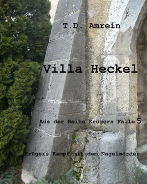 T. D. Amrein Villa Heckel обложка книги