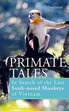 Kai Althoetmar Primate Tales обложка книги