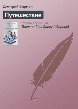 Дмитрий Бирман Путешествие обложка книги