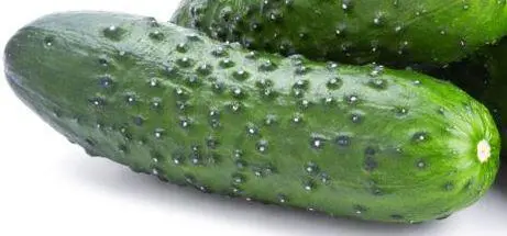 Für Salatgurken verwendet man ein Rankgerüst Männliche und weibliche Blüten - фото 1