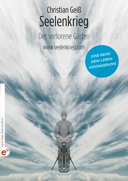 Christian Geiss Seelenkrieg обложка книги