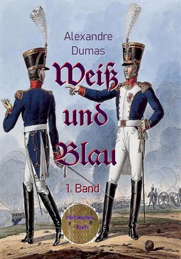 Alexandre Dumas d.Ä. Weiß und Blau, 1. Band обложка книги