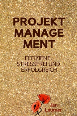 Jan Laumer Projektmanagement: Effizient, stressfrei und erfolgreich обложка книги