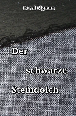 Barni Bigman Der schwarze Steindolch обложка книги