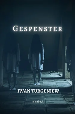 Iwan Turgenjew Gespenster обложка книги