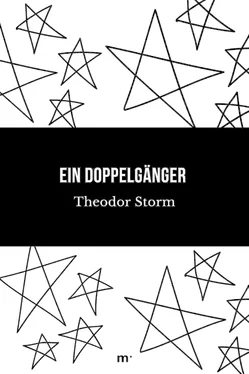 Theodor Storm Ein Doppelgänger обложка книги