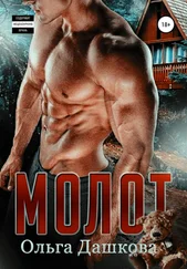 Ольга Дашкова - Молот