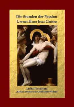 Studiengruppe Hl. Hannibal di Francia Die Stunden der Passion Unseres Herrn Jesus Christus обложка книги