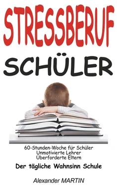 Alexander Martin Stressberuf Schüler обложка книги