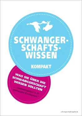 Matthias Lamprecht Schwangerschaftswissen kompakt обложка книги