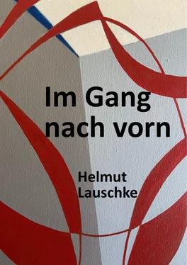 Helmut Lauschke Im Gang nach vorn обложка книги