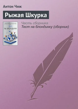 Антон Чиж Рыжая Шкурка обложка книги