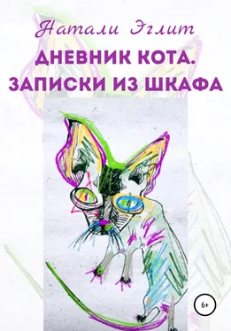 Натали Эглит Дневник кота. Записки из шкафа обложка книги