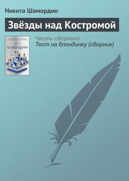 Никита Шамордин Звёзды над Костромой обложка книги