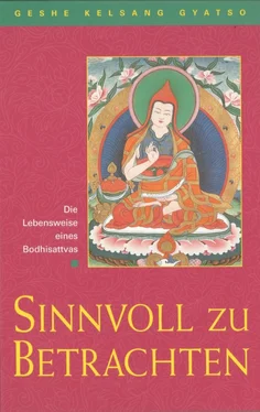 Geshe Kelsang Gyatso Sinnvoll zu betrachten обложка книги