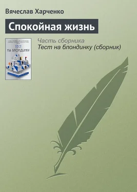 Вячеслав Харченко Спокойная жизнь обложка книги