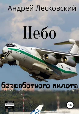 Андрей Лесковский Небо безработного пилота обложка книги