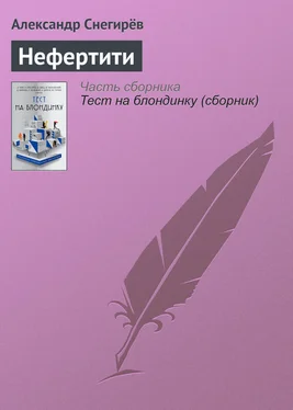 Александр Снегирёв Нефертити обложка книги